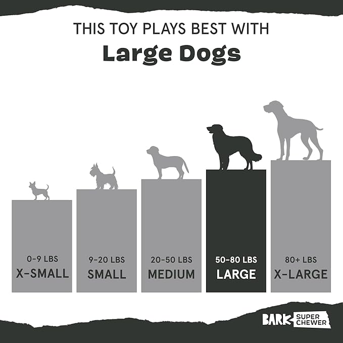 Barkbox Grey Bear Hugger Super Chewer 2-in-1 Plush Exterior Hard Core Plush Toy, Large Breeds