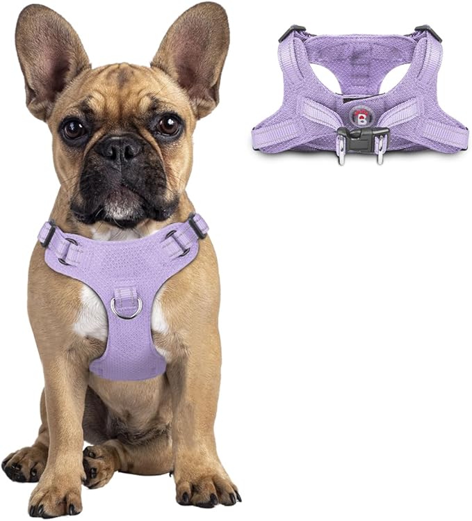 Dog Harness Step in Dog Vest Harness, Reflective Adjustable Puppy No Pull Harness Breathable Soft for Small and Medium Dogs Cats, Violet Purple, S