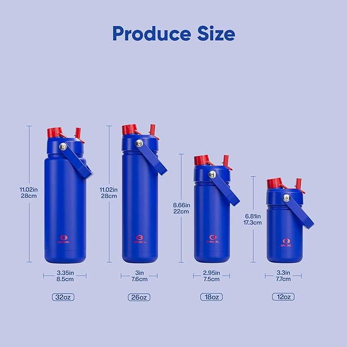 Insulated Water Bottle with Straw Stainless Steel Water Bottle, Leak-Proof, BPA-Free, Double Wall Vacuum Keeps Cold for 24 Hours for Sports, Travel, School (18 oz, Beaucoup Blue)