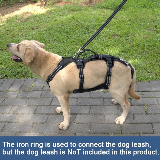 Coodeo Dog Lift Harness, Support & Recovery Sling, Pet Rehabilitation Lifts Vest Adjustable Breathable Straps for Old, Disabled, Joint Injuries, Arthritis, Paralysis Dogs Walk (Black,XL)