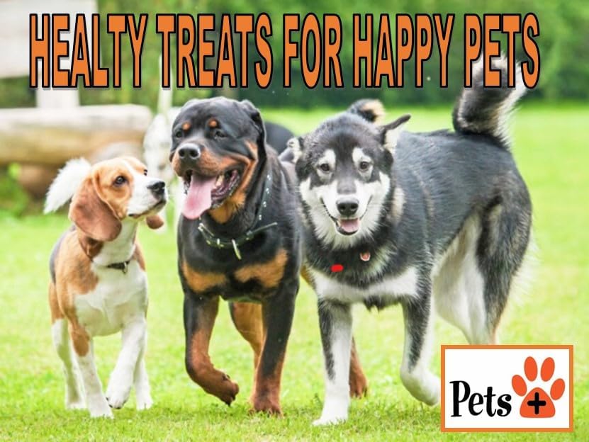 Pets Plus Beef Gullet Jerky Dog Treats – Medium Size, 6-Inch, 8-Pack – All Natural, High Protein, Grain-Free Chews for Dogs, Easily Digestible, Great for Dental Health & Joint Support