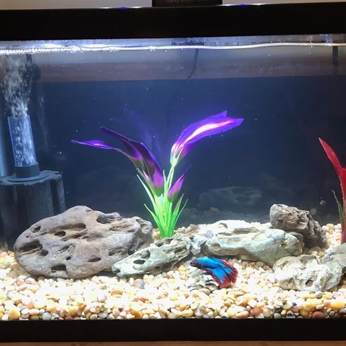 Natural Stone Aquarium Decoration 4.4 lb Dragon Stone Rock Mixed Sizes for Micro Landscape Fish Tank Decor