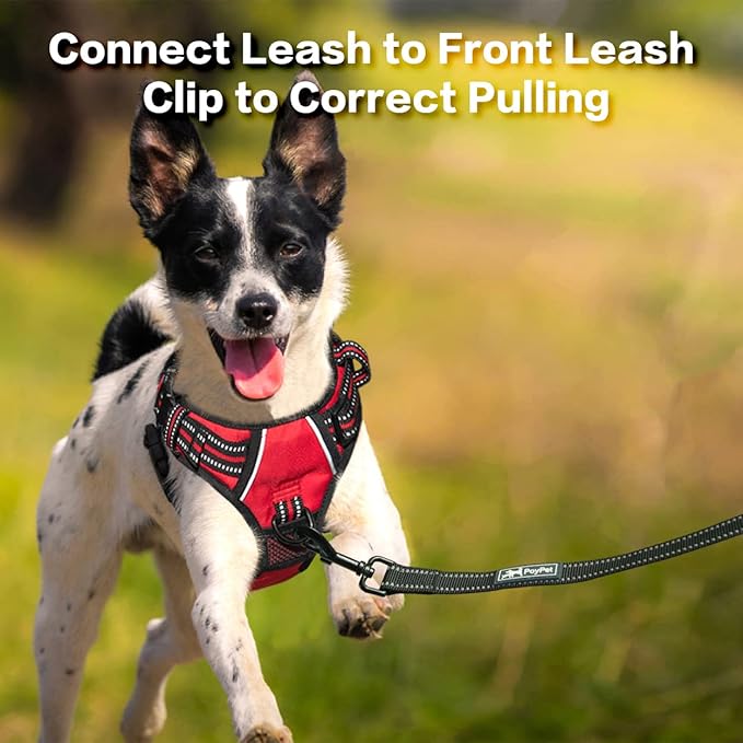 PoyPet No Pull Dog Harness, No Choke Front Clip Reflective Dog Vest with Soft Padded Vertical Handle, 3 Leash Attachments for Small Medium Large Dogs (Red,L)