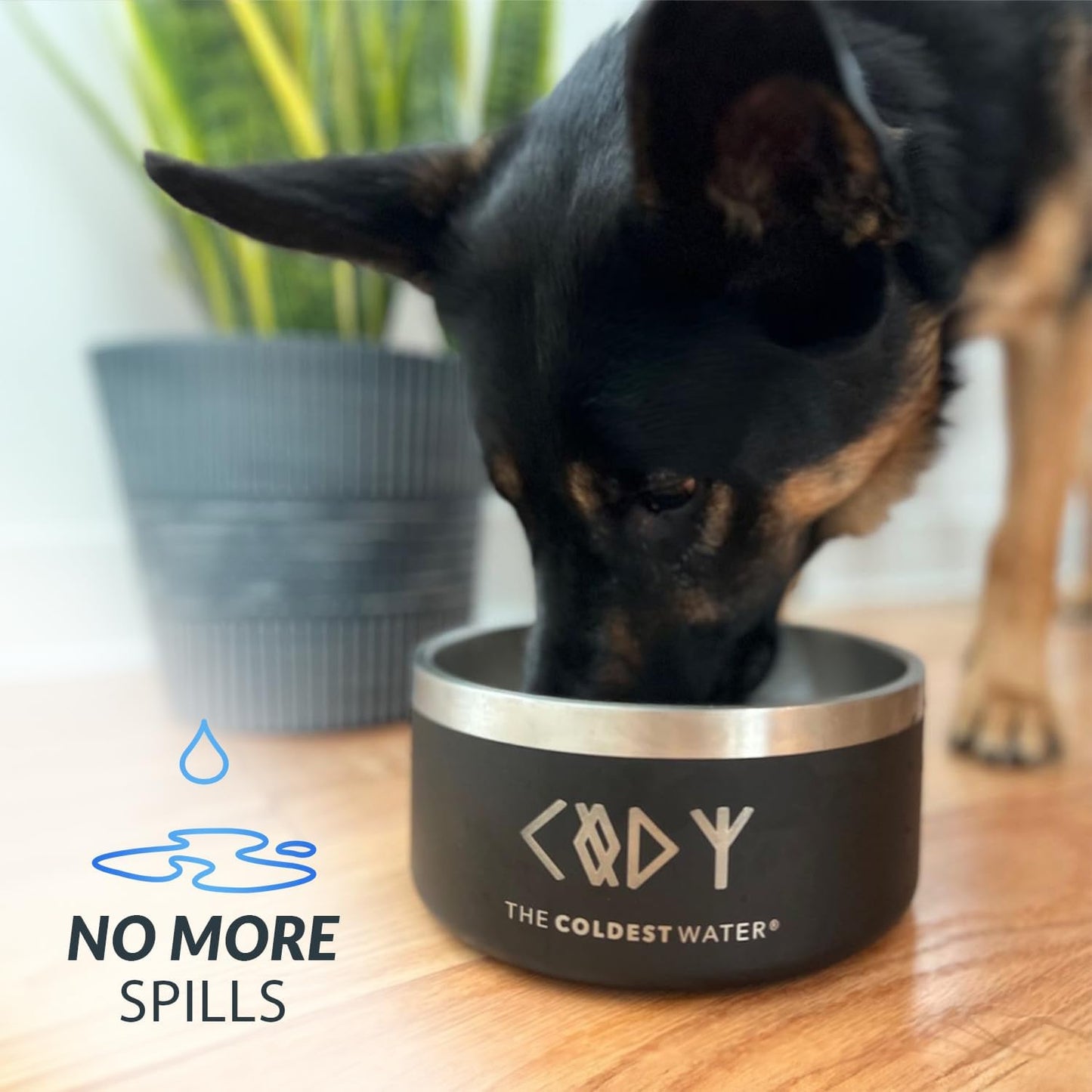 Coldest Dog Bowl - Anti Rust Metal, Non Slip, 3 Layers Insulated Stainless Steel Dog Bowls - Spill Proof & Heavy Duty - Water Bowl for Dogs, Cats & Pets, Dish Washer Safe (100 oz, Terraform Green)