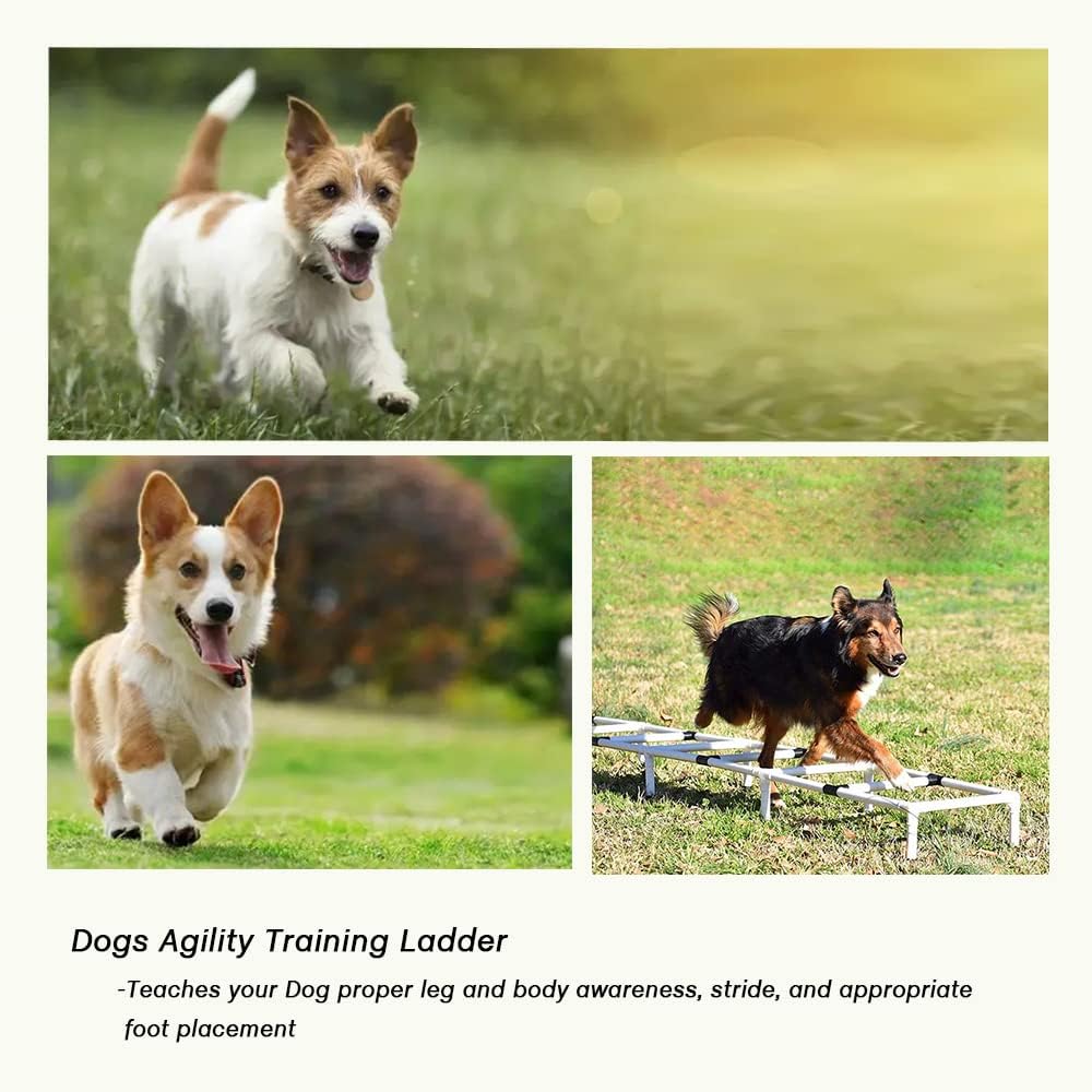 PLKO Dogs Agility Training Ladder, Pets Agility Training Equipment, Pet Outdoor Game