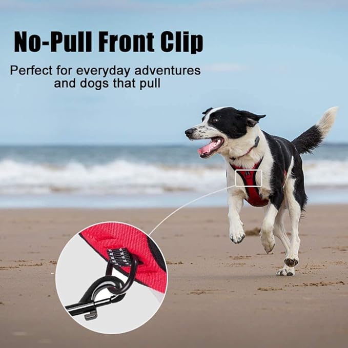 PoyPet No Pull Dog Harness, Reflective Comfortable Vest Harness with Front & Back 2 Leash Attachments and Easy Control Handle Adjustable Soft Padded Pet Vest for Small to Large Dogs (Red,XS)