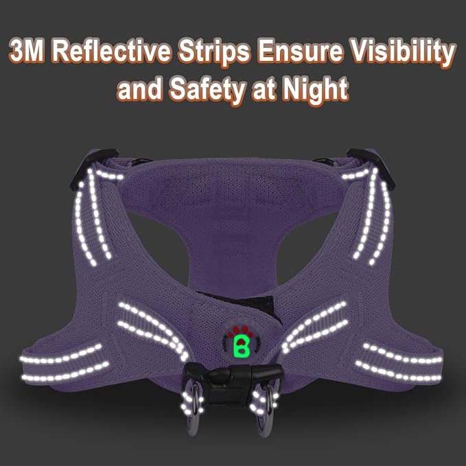 BARKBAY Dog Harness, Reflective Adjustable Puppy No Pull Harness, Breathable Soft for Small and Medium Dogs, Violet Purple, XXS