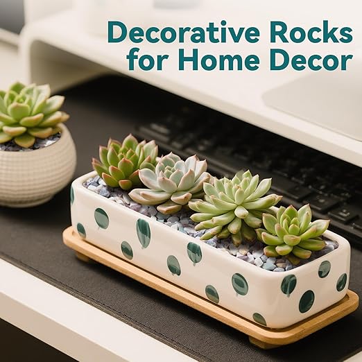 5 lbs Natural Pea Gravel Pebbles for Aquarium, Fish Tank, 3/8 inch Decorative Pebbles for Indoor Plants, Succulent, Bamboo, Vase, Drainage Rocks for Potted Plants, Top Dressing, Mixed Color