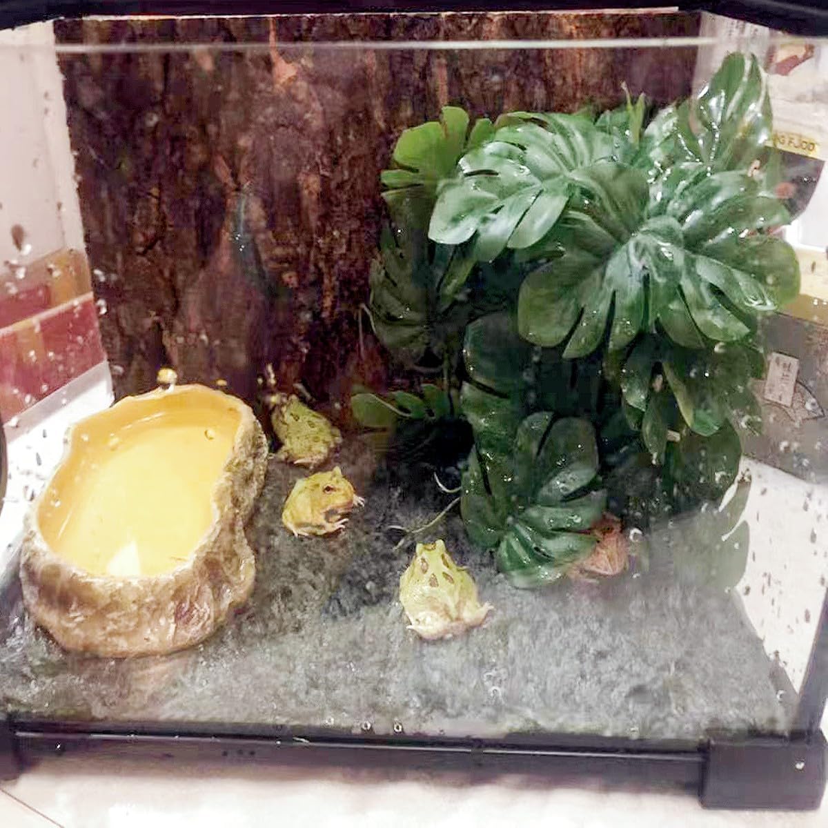 Reptile Plants for Terrarium Decor, Amphibian Habitat Decor, Snake Tank Accessories, Artificial Hanging Plants with Suction Cup-2 Packs (Fake Monstera)