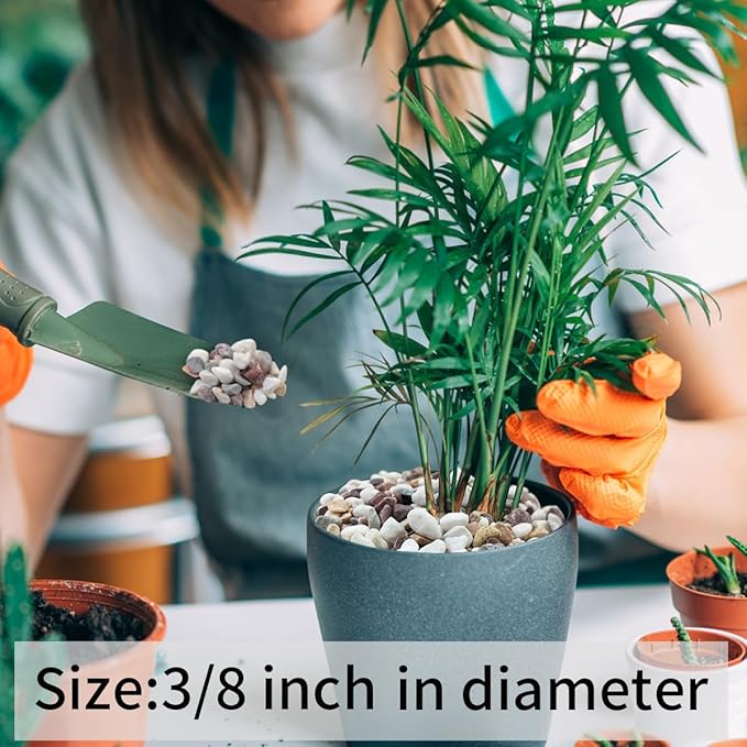 5 lbs Natural Mixed Color Gravel Pebbles, 3/8 Inch Decorative Succulent Rocks Pebbles for Plants, Stones for Vase, Landscaping and Outdoor Garden Decorative River Rock