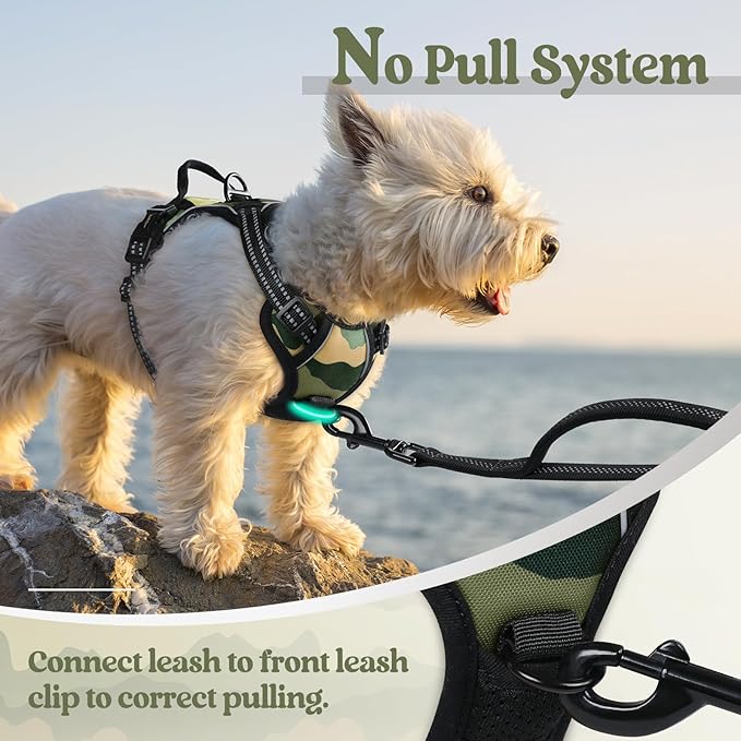 rabbitgoo Dog Harness No Pull with 2 Leash Clips, Adjustable Soft Padded, Reflective Oxford No Choke Pet Vest with Easy Control Handle for Large Dogs, Green Mountain,XS