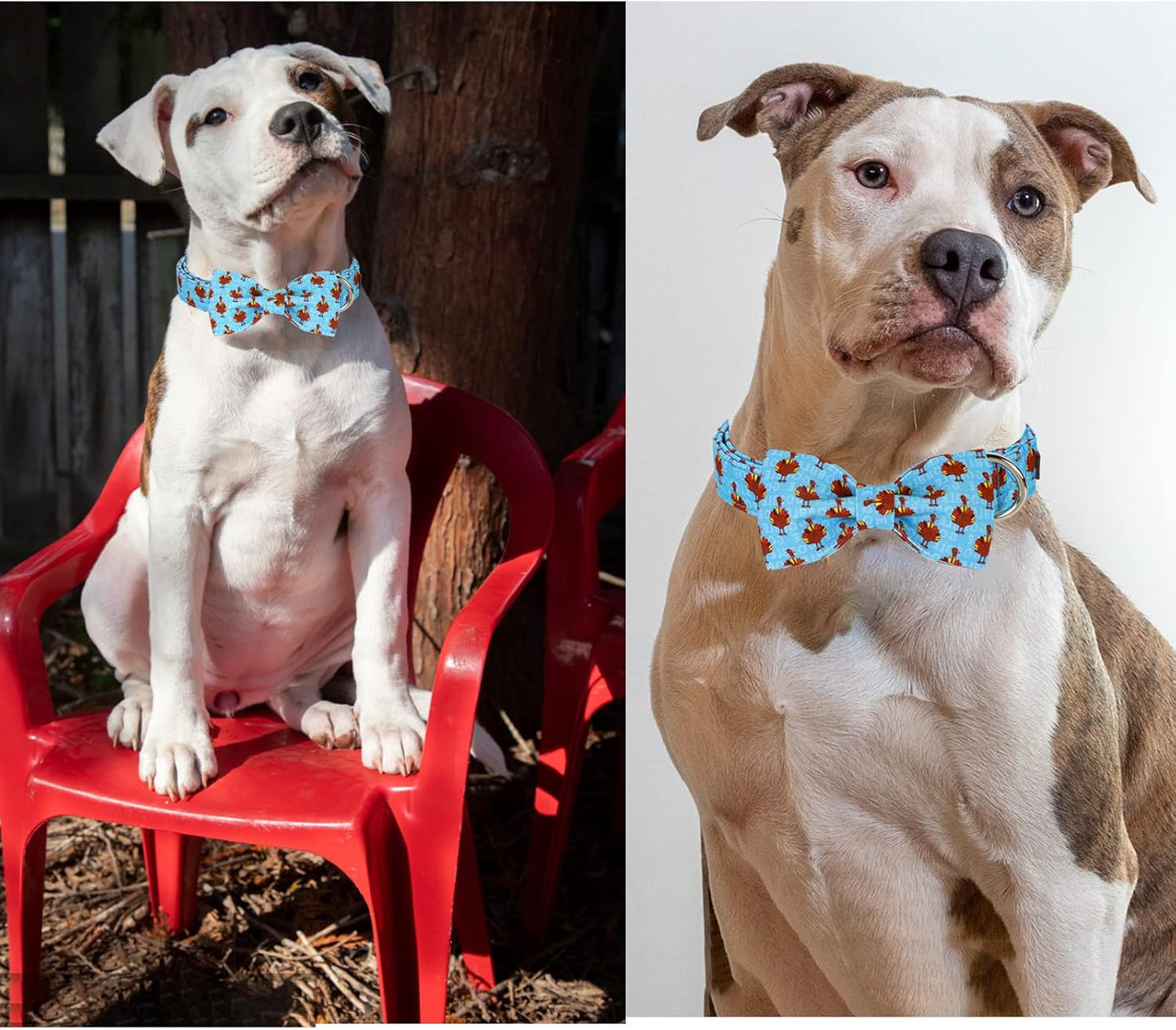 Unique style paws Christmas Dog Collar with Bow Tie Red Elk Cotton Collar Adjustable Puppy Collar for Small Medium Large Dogs-L