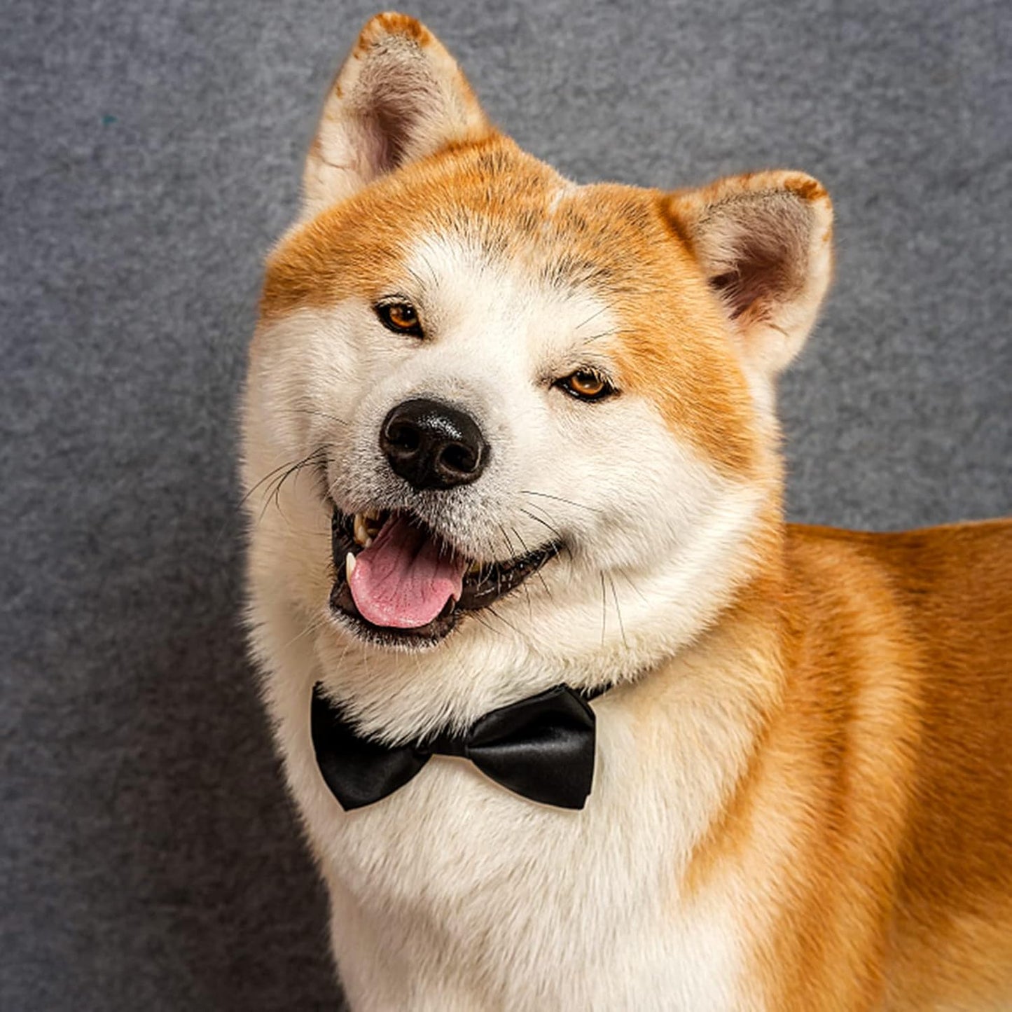 Dog Collar Bowties - 20 PCS Birthday Gift Adjustable Pet Bow Ties for Boys Girls Puppy Cats Photography Grooming Multicolor Bows(Small)