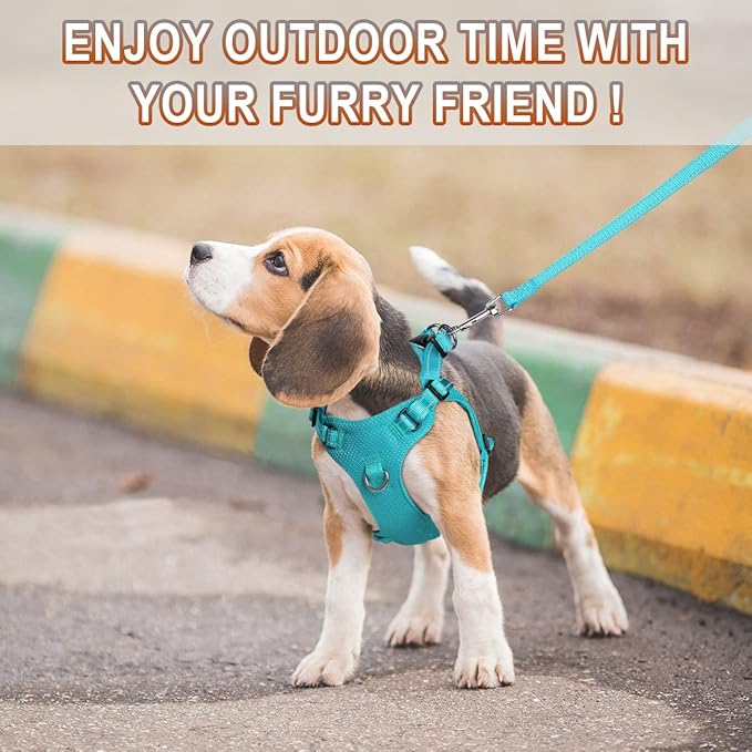 Dog Harness Step in Dog Vest Harness, Reflective Adjustable Puppy No Pull Harness Breathable Soft for Small and Medium Dogs Cats, Ocean Blue, XXS