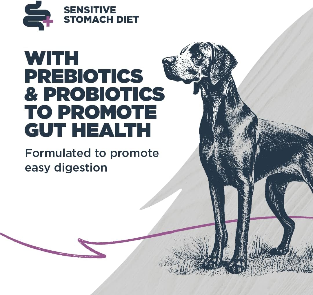 Blackwood Sensitive Skin & Stomach Dry Dog Food, Salmon Meal & Brown Rice with Ancient Grains, 10 Pound Bag with Prebiotics & Probiotics to Promote Gut Health