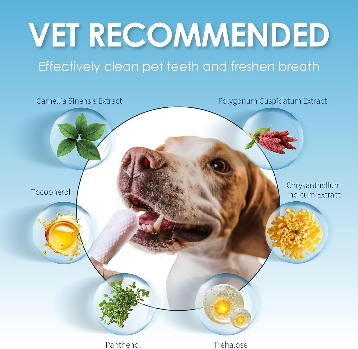 Mooncat Dental Finger Wipes for Dogs & Cats - Easy Teeth Cleaning to Remove Plaque, Tartar & Freshen Bad Breath - Gentle Tooth Wipes for Puppy & Kitten Care - 40 Counts