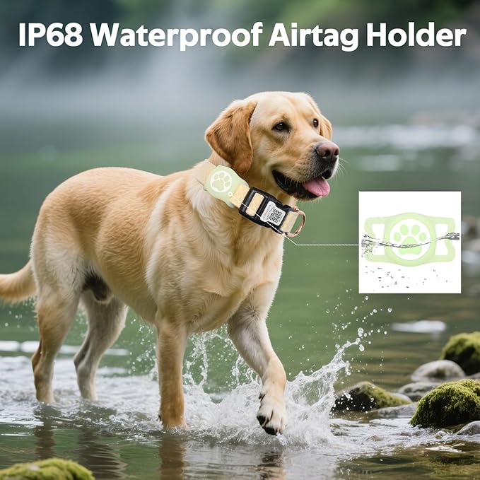 Dog Collar with Waterproof AirTag Holder & Anti-Lost QR Code, Cute Bling Warpping Adjustable Width for Small Medium Large Pet (Yellow, L)