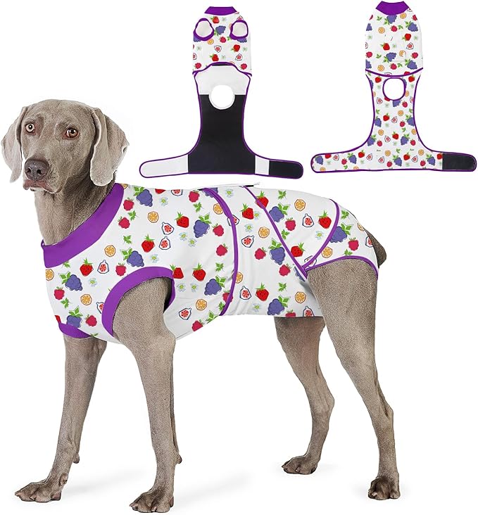 Recovery Suit for Dogs After Surgery, Professional Dog Surgical Suit for Female Spay, Male Neuter, E-Collar & Cone Alternative Dog Onesie for Abdominal Wounds Skin Disease, Purple, XL