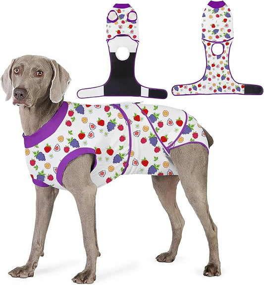 Recovery Suit for Dogs After Surgery, Professional Dog Surgical Suit for Female Spay, Male Neuter, E-Collar & Cone Alternative Dog Onesie for Abdominal Wounds Skin Disease, Purple, M