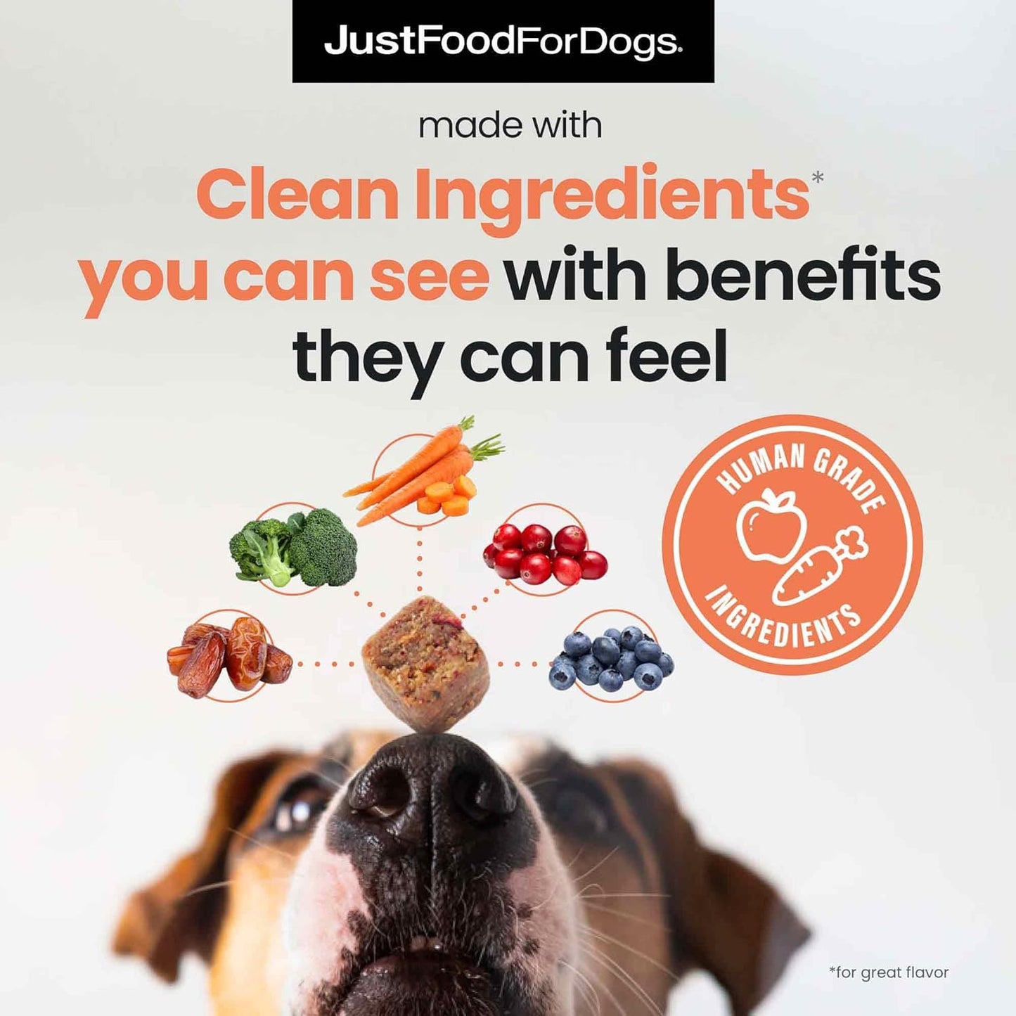JustFoodForDogs 10-in-1 Multifunctional Supplement Chews for Dogs, Superfood Blend, Glucosamine, Omega-3 Fatty Acids, Skin Health, Joint Health, Probiotics, Plant-Based, Human Grade - 45 Count