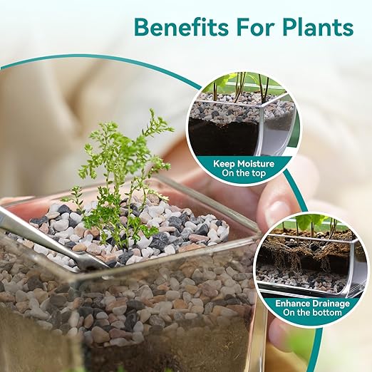 2.5 lbs Small Rocks for Succulents, 1/5 Inch Pebbles for Indoor Plants, Decorative Pea Gravel for Terrarium, Vases, Aquariums, Fish Tank, Drainage Rocks for Potted Plants, Bamboo,Crafts, Cactus