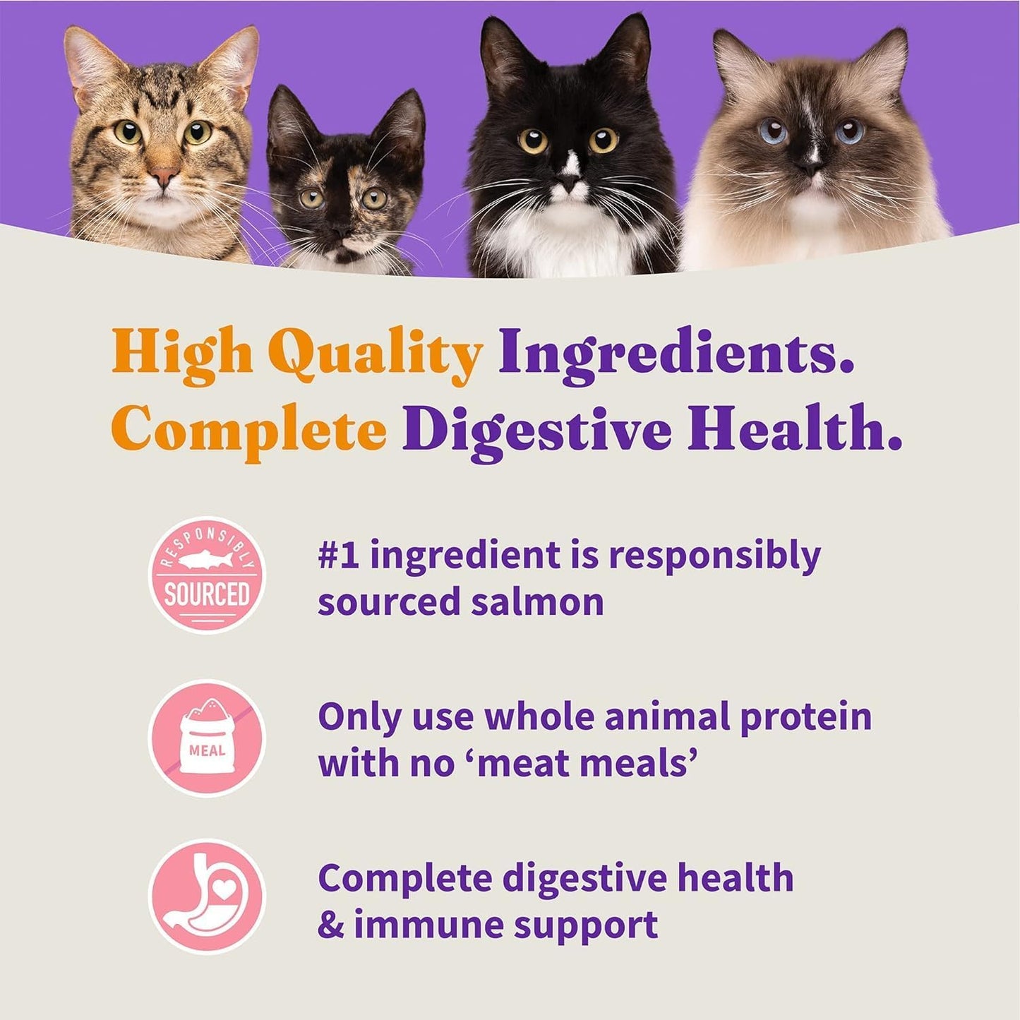 Halo Holistic Kitten Food, Wild Caught Salmon & Whitefish Recipe, Grain Free Dry Cat Food, Complete Digestive Health, 10 lb Bag