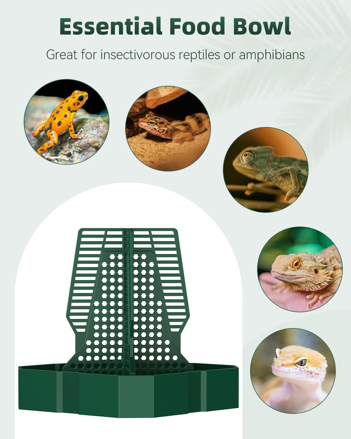 Pawfly Reptile Feeder Box, Chameleon Feeding Bowl, Climbable Chameleon Feeder, Bearded Dragon Food Keeper, Insect Container for Lizards, Geckos, and Frogs