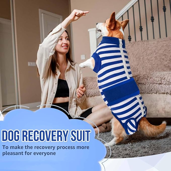 Lukovee Recovery Suit for Dogs, Zipper On Recovery Suit for Female Male Dog, Onesie Abdominal Wounds Cone E-Collar Alternative Prevent Licking Spay Recovery Suit (Large, Blue & White)