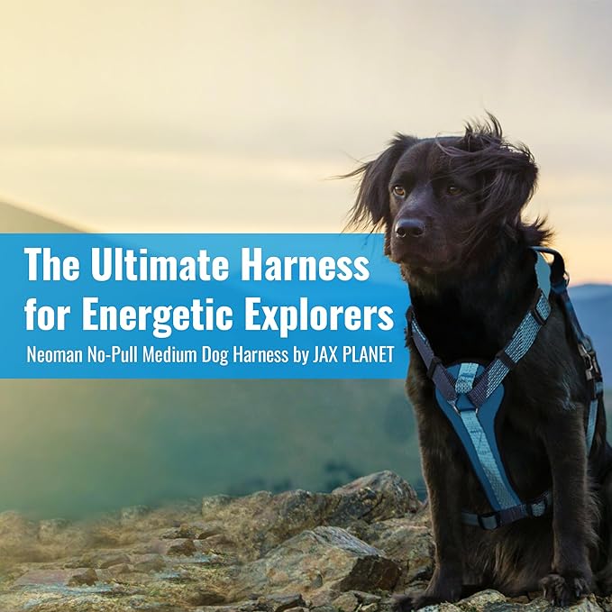 No-Pull Dog Harness with Handle - Escape Proof, Anti-Pulling, Grip Control, Multi-Angle Reflective for Safe Walks & Training, Easy On & Off, Metal Buckle–Pet Harness, Medium/Large Dogs- H3- Blue