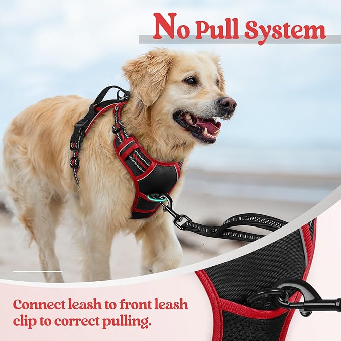 rabbitgoo Dog Harness No Pull with 2 Leash Clips, Adjustable Soft Padded, Reflective Oxford No Choke Pet Vest with Easy Control Handle for Large Dogs, Black & Red, XL