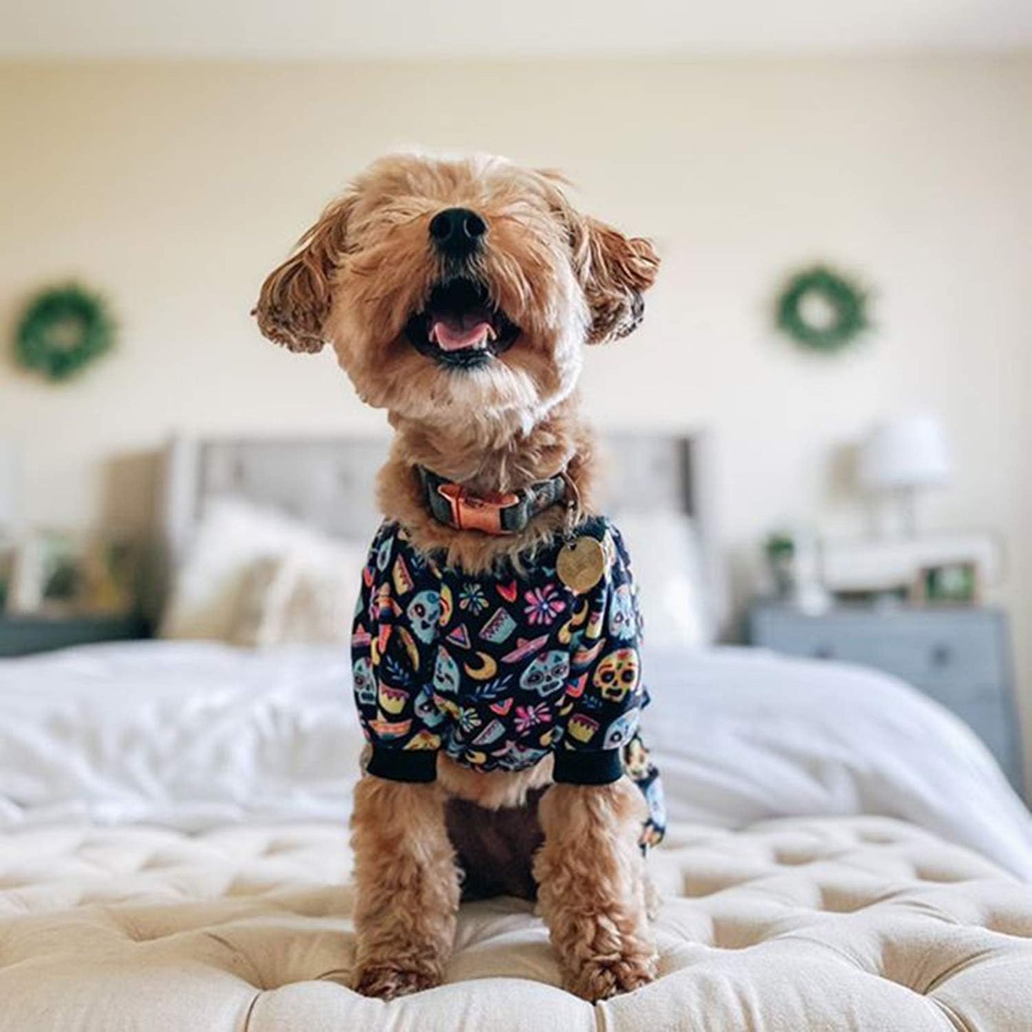 CuteBone Small Dogs Outfit Soft Puppy Onesies Pjs Halloween Dog Pajamas Pet Coat Cat Apparel Comfy Doggie Jumpsuit Bodysuit for All Seasons P73M