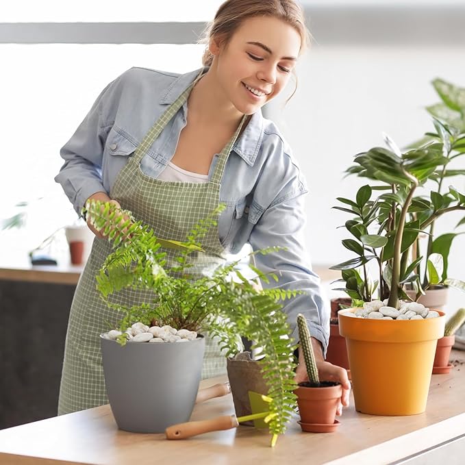 Mr. Fireglass 5lb White River Rocks, 3/8 inch Natural Decorative Polished Pebbles Aquarium Gravel Stones for Landscaping, Indoor Plants, Vase, Succulent, Fish Tank