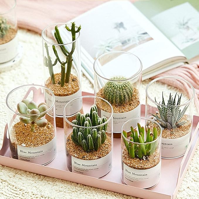 18lb Cactus Pea Gravel Rocks,1/5 Inch Pebbles for Indoor Plants, Natural Succulent Rock and River Rocks Decorative for Aquariums, Vases, Terrarium, Outdoor Gardening, Top Dressing for Potted Plants