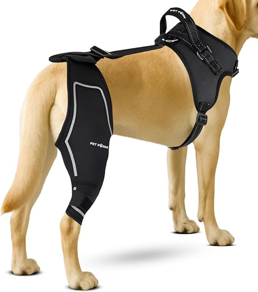 Petpanm- Adjustable Dog Knee Brace- Right Hind Leg with Integreted Harness- Premium Support for Torn ACL, Sprains & Strains Recovery, Enhances Mobility, Comfortable Neoprene. (XSmall)