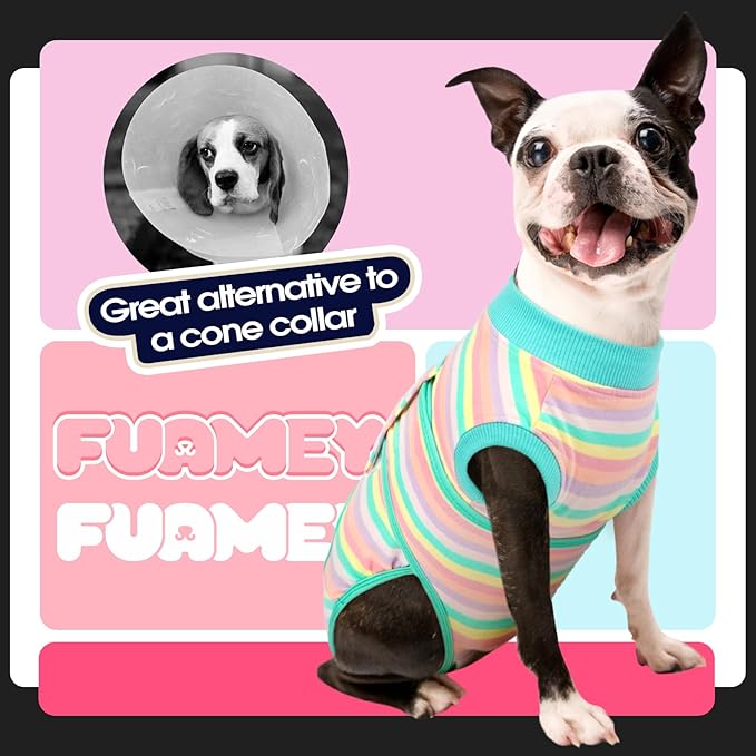 FUAMEY Recovery Suit for Dogs After Surgery,Soft Breathable Dog Bodysuit E-Collar & Cone Alternative Surgical Suit,Male Female Dog Neuter Spay Suits Anti Licking Wounds Onesie Mint Green Stripes XS