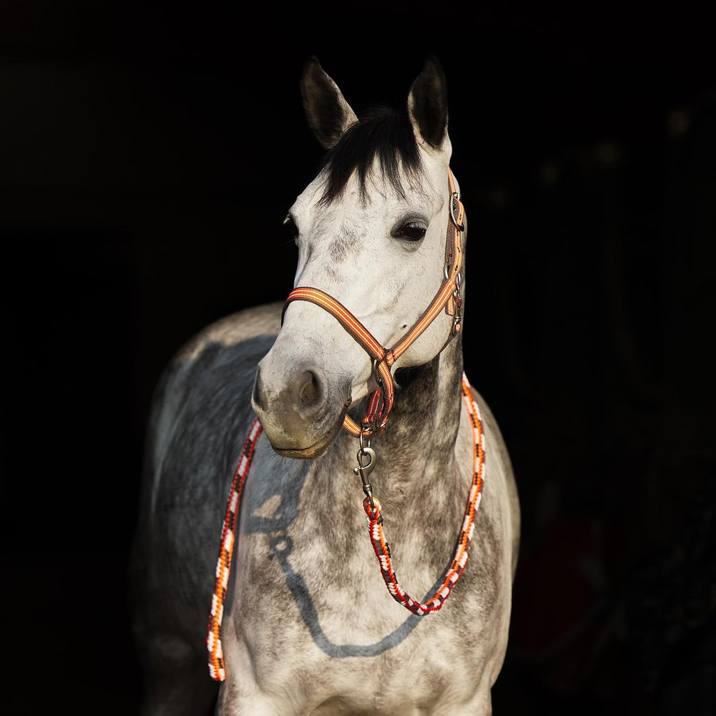HORZE Adepto Adjustable Horse Halter | Soft, Durable Polyester - Coral Gold - Cob