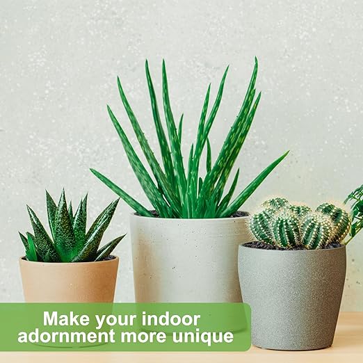 5 lbs Pebbles for Indoor Plants, Succulent, Cactus, 1/5 Inch Small Lava Rock for Plants Drainage, Natural Horticultural Volcanic Rock, Top-Dressing