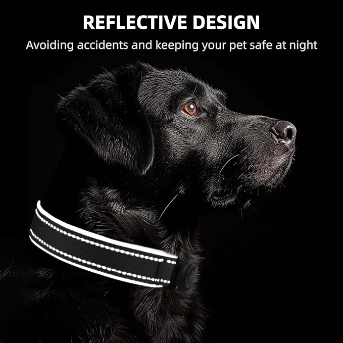 Airtag Dog Collar - 100% Waterproof Air tag Dog Collar Holder for Apple AirTag, Reflective, Soft Padded, Everlasting, GPS Dog Collar for Small Medium Large Dogs (Black, M)
