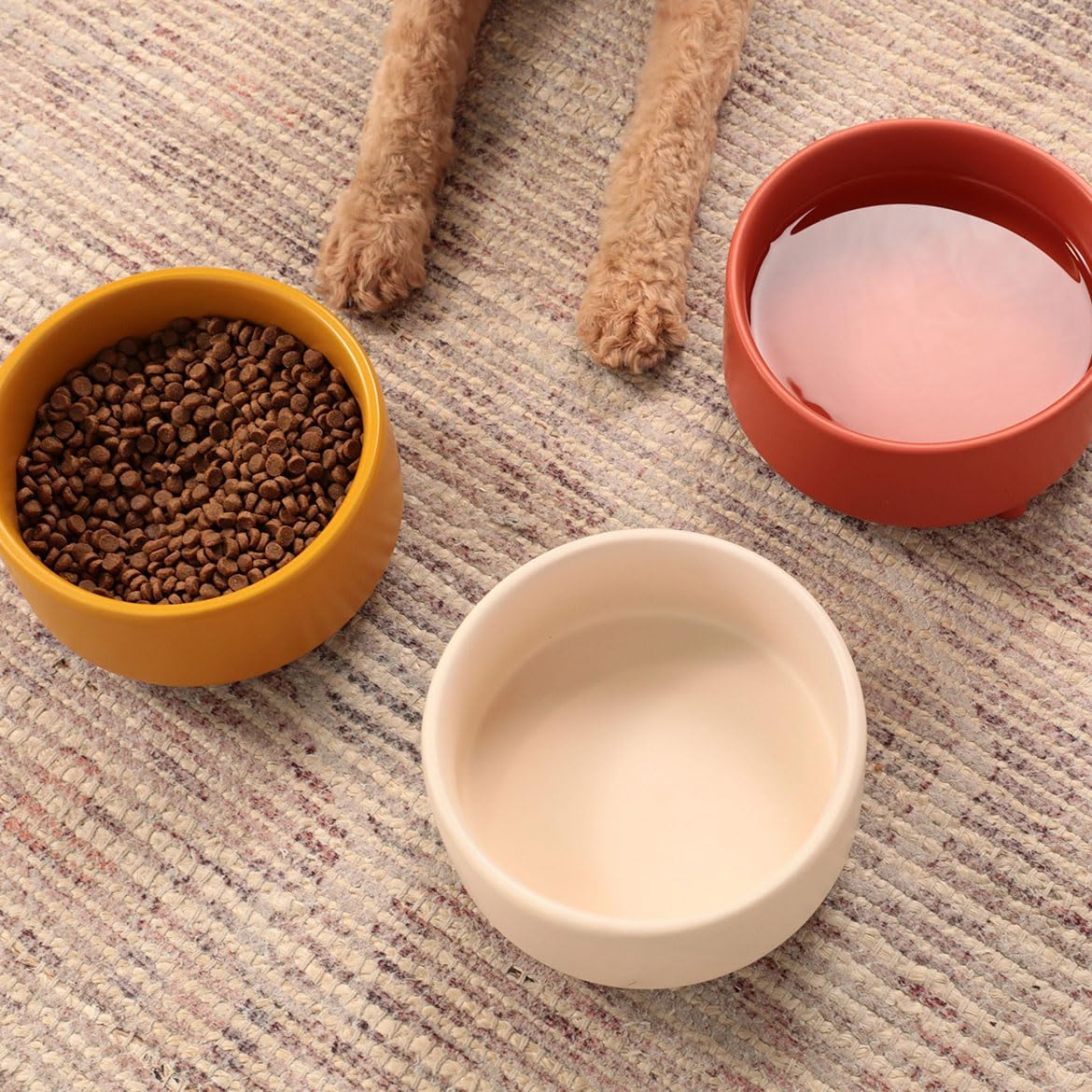 Waggo Uplift Ceramic Dog Bowl for Small Medium and Large Breeds - Heavyweight and Durable Pet Food and Water Dish Crock, Dishwasher Safe, Modern, Elevated Feeder (Buttercream, Small)