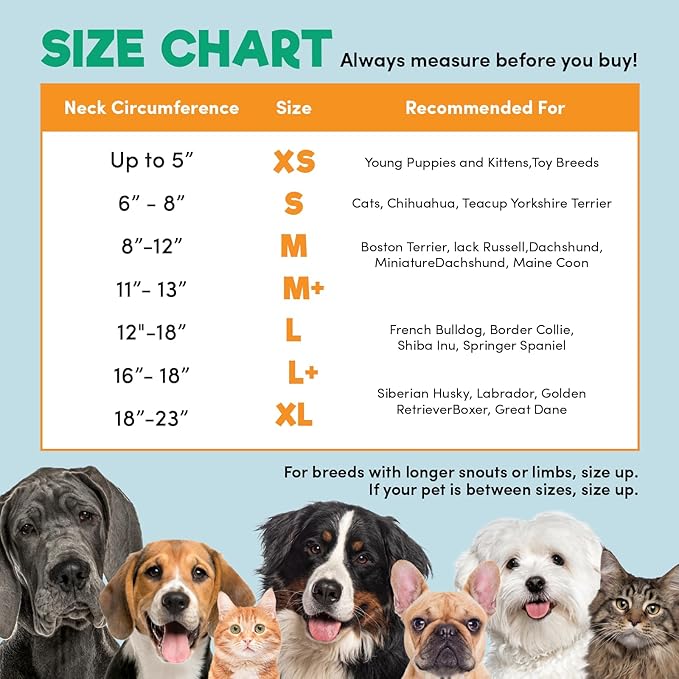 BENCMATE Inflatable Dog Cone Collar Alternative, Soft Dog Cone for Small Medium Large Dogs and Cats, Neck Recovery ECollar Donut Collar After Surgery (Medium, HeartShape)