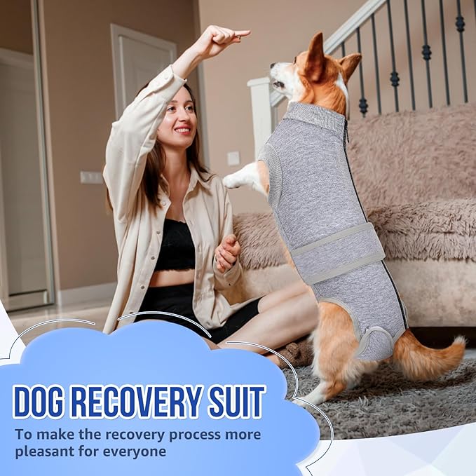 Lukovee Recovery Suit for Dogs, Zipper On Recovery Suit for Female Male Dog, Onesie Abdominal Wounds Cone E-Collar Alternative Prevent Licking Spay Recovery Suit (4XL, Grey)