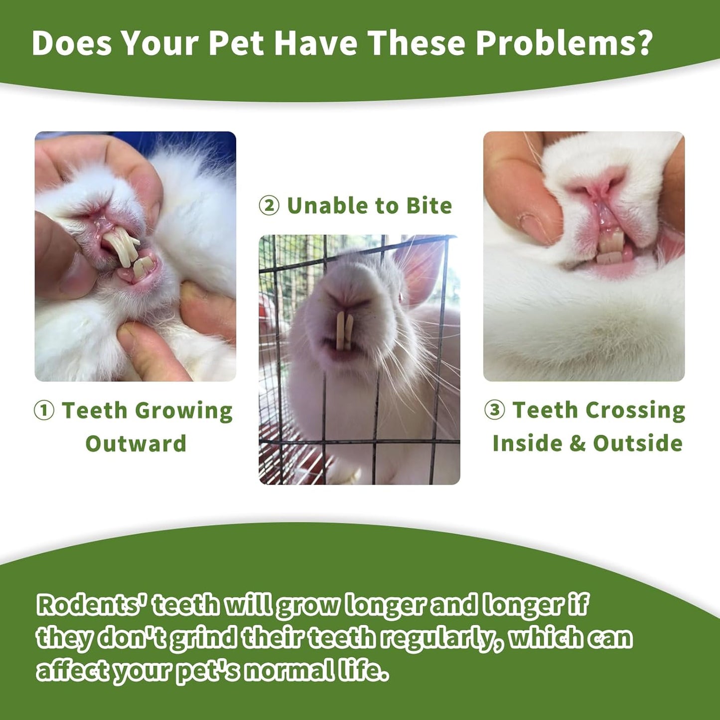 Fhiny Rabbit Chew Toys, 6 PCS 3.9" Natural Papaya Wood Chew Sticks Guinea Pig Treats for Dental Care Bunny Treats for Rabbits Small Pet Molar Snacks for Bunny Guinea Pig Chinchilla Hamster Gerbil