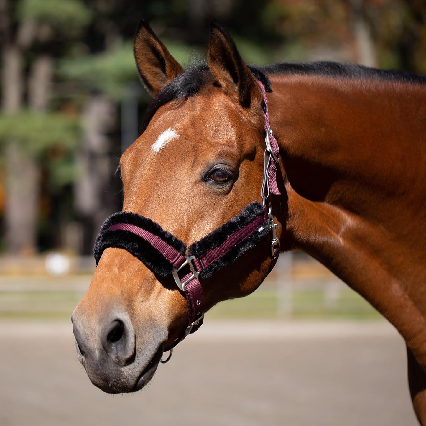 Equinavia Valkyrie Soft Ultra Fleece Padded Adjustable Breakaway Horse Halter - Wine Red/Black - Horse