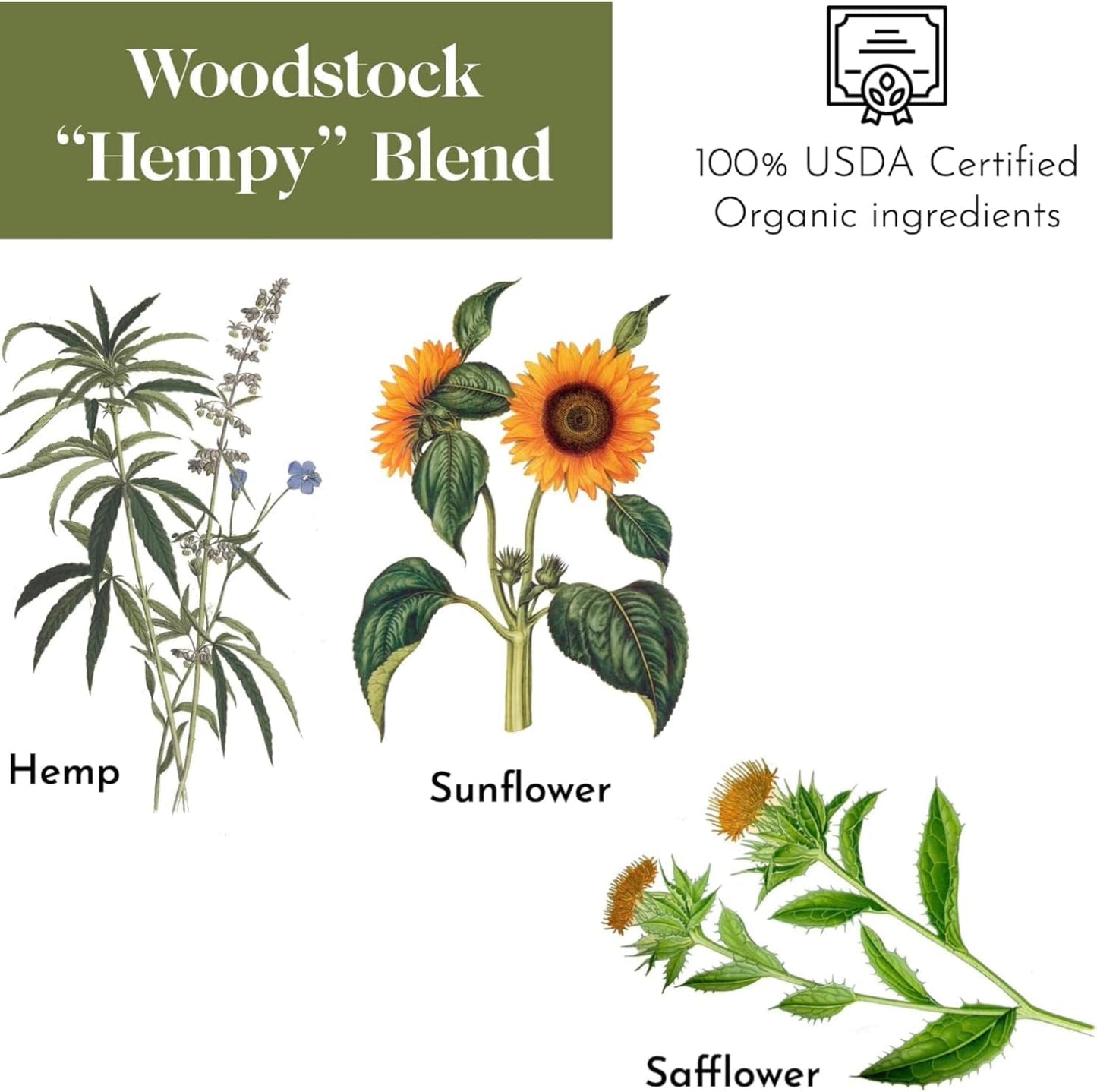 Flying Colors Premium Organic Wild Bird Seed | Woodstock 'Hempy' Blend | 100% USDA Organic Ingredients | No Fillers, No Pesticides | Sunflower Seed, Peanut, Safflower, Hemp | 3 Gallon Easy-Pour Carton