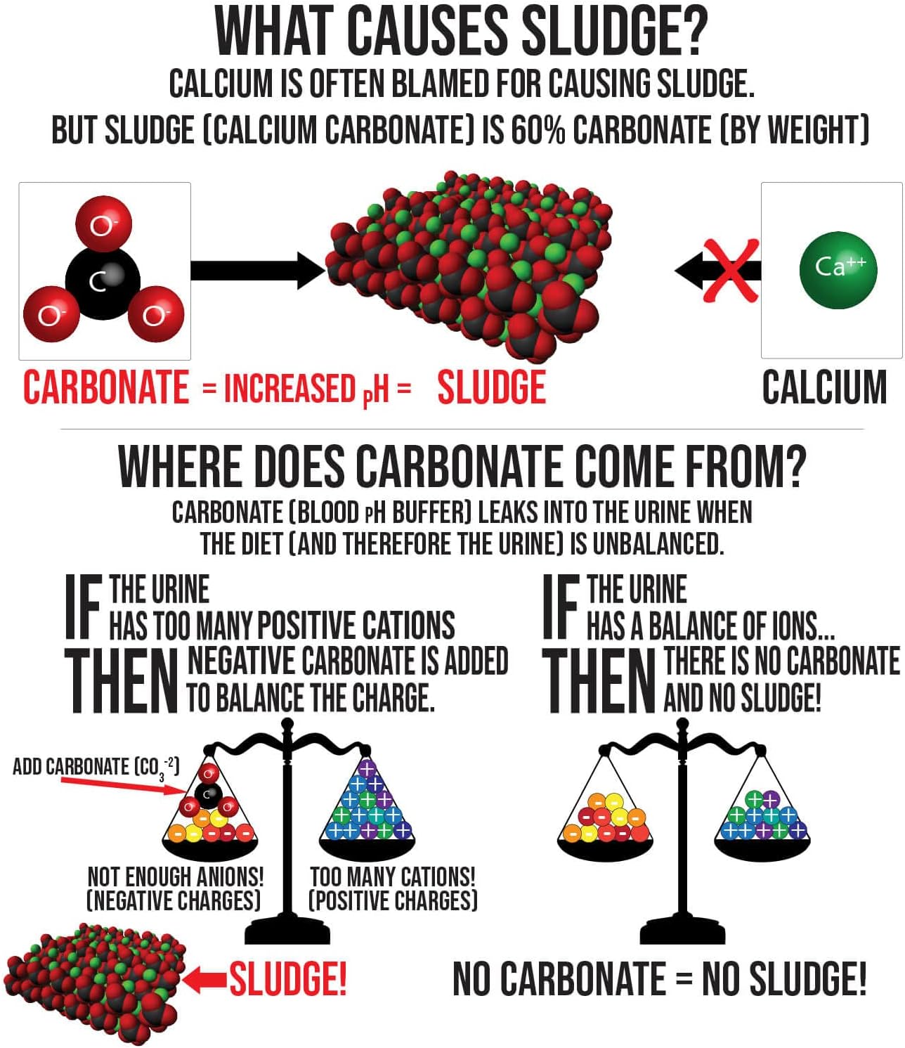Urinary Support by Sherwood Pet Health (100 Tablets - 60 Grams)