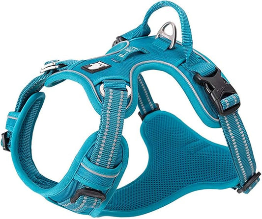 TRUE LOVE Dog Harness No Pull Nylon Reflective Pet Harness Adjustable Comfortable Control Step-in Brilliant Colors Truelove TLH56512 Blue