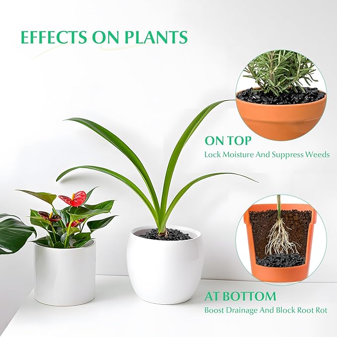 Mr. Fireglass 5 lbs Black Pebbles, 3/8" Natural Decorative Polished River Rocks Aquarium Gravel for Indoor Plants, Vases, Succulents and Outdoor Garden Landscaping