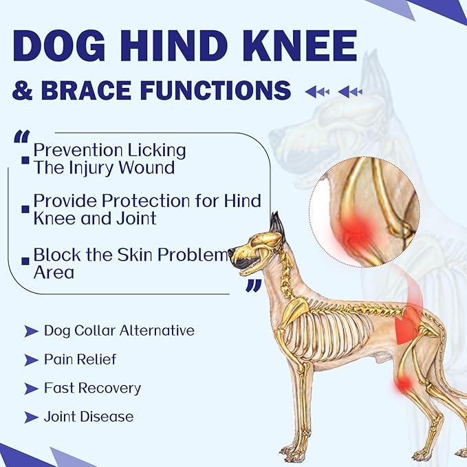 ROZKITCH Dog Surgery Leg Sleeve Rear Legs, Male Female Pet Prevent Licking Wound Elbow Knee Protector, Dog Recovery Suit Cone Collar Alternative Pants Shirt for Wound Heal Wrap Rosered XL