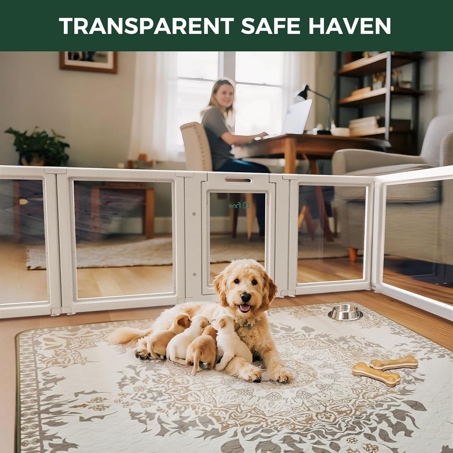 FXW AuraSpace Acrylic Indoor Unleashed Dog Playpen for Puppies and Small Dogs, 24 Inch, 8 Panels, White