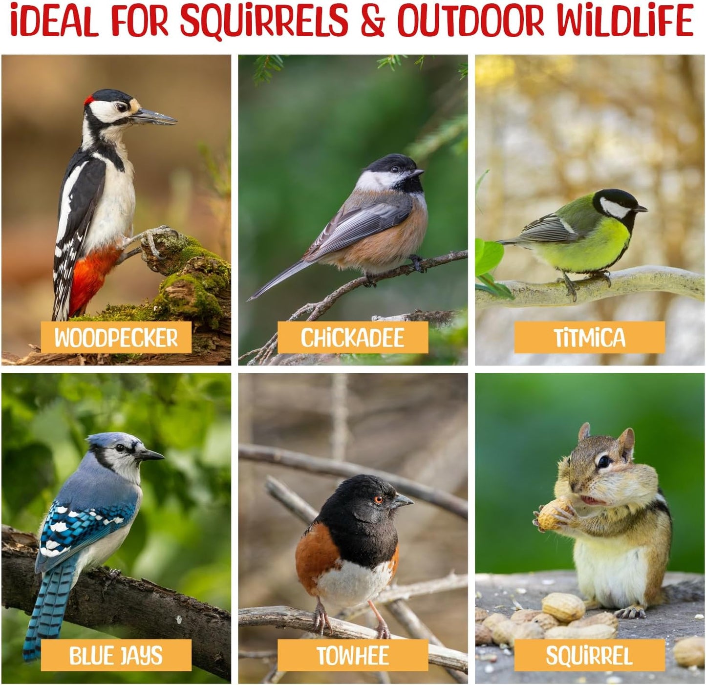 Premium Quality Raw Out of Shell Peanuts - 5 Pounds - Shelled Peanuts for Birds – Wildlife Quality - Food for Squirrels, Deer, Birds, and Other Wildlife Animals – Grown in The USA